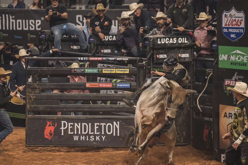 A bull bucks out of the chute at a PBR event as the rider holds on